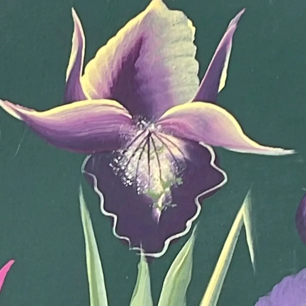 Artisan vintage hand painted Irises storage box by Patty Jo